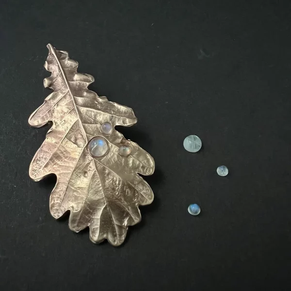 QUERCUS - collection Rosée