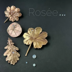 QUERCUS - collection Rosée – Image 2